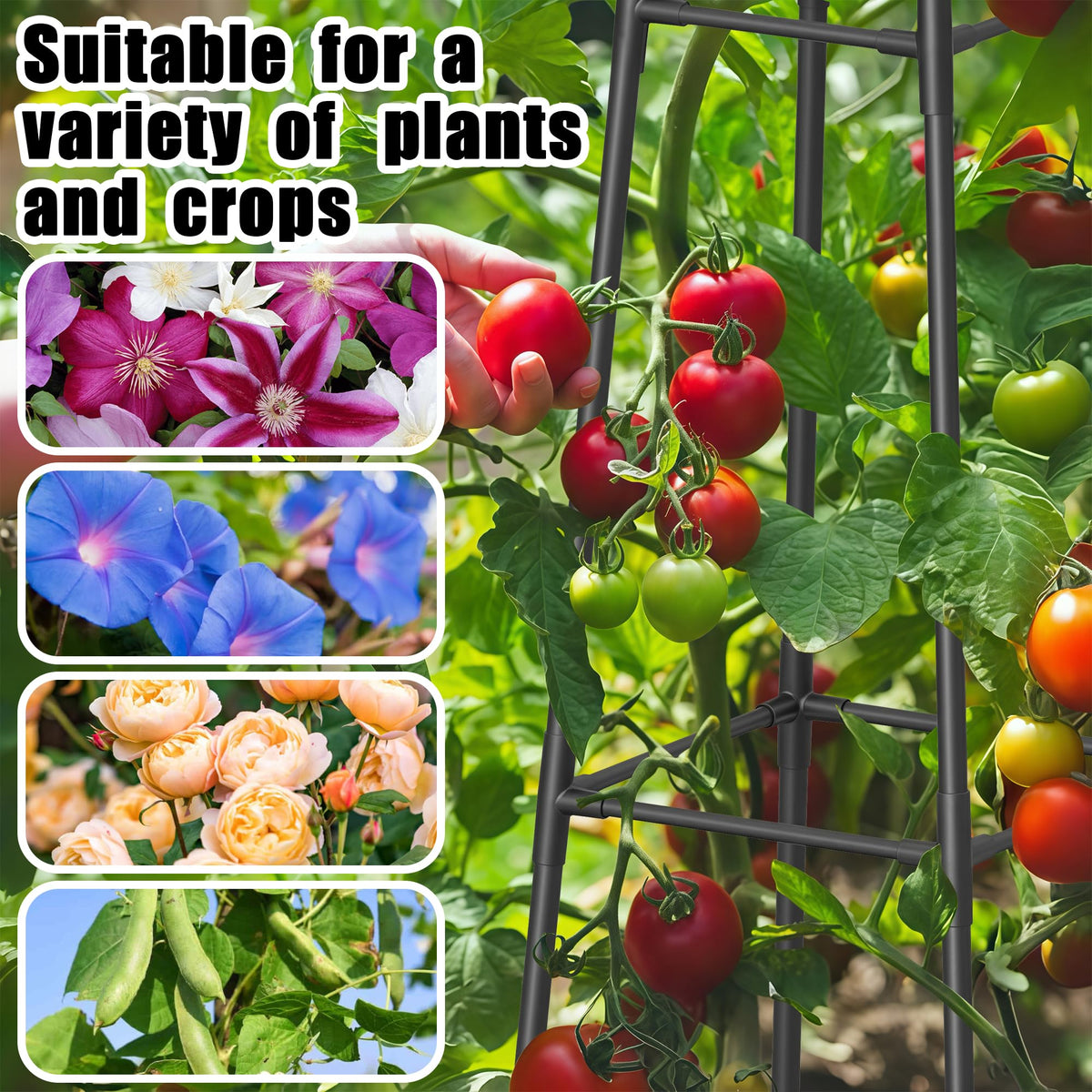 Hsundries vertical garden setup showcases space-saving solution.