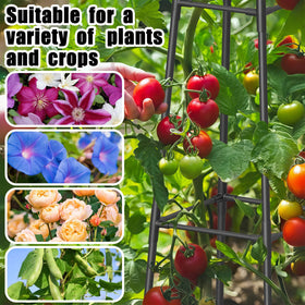 Hsundries vertical garden setup showcases space-saving solution.