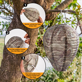 htiepf wasp nest hanging placement on eaves adds color and charm.