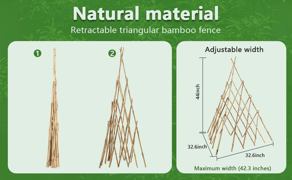 HTWNK Bamboo Trellis adjustable height supports growing vines toward sunlight.