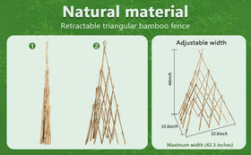 HTWNK Bamboo Trellis adjustable height supports growing vines toward sunlight.