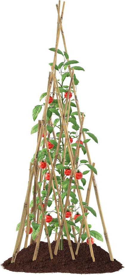 HTWNK Garden Bamboo Obelisk: easy assembly for sturdy plant support.