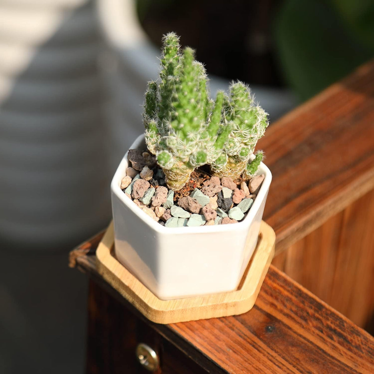 HTWNK garden decor lava rock pieces ideal for terrariums and fairy gardens