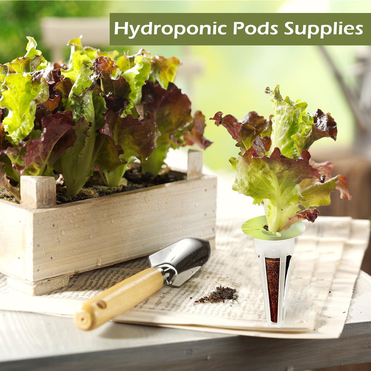 Hugloogn indoor garden kit enables versatile planting in small spaces.