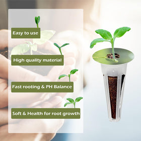 Hugloogn plastic domes maintain humidity around seedlings.