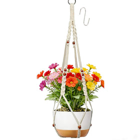 HUIHONGHOME macrame plant hanger on wall with ivory rope, ideal for indoor decor