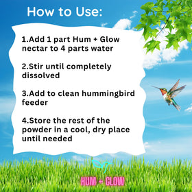 Hum + Glow nectar mimics real flower nectar to support hummingbird energy.