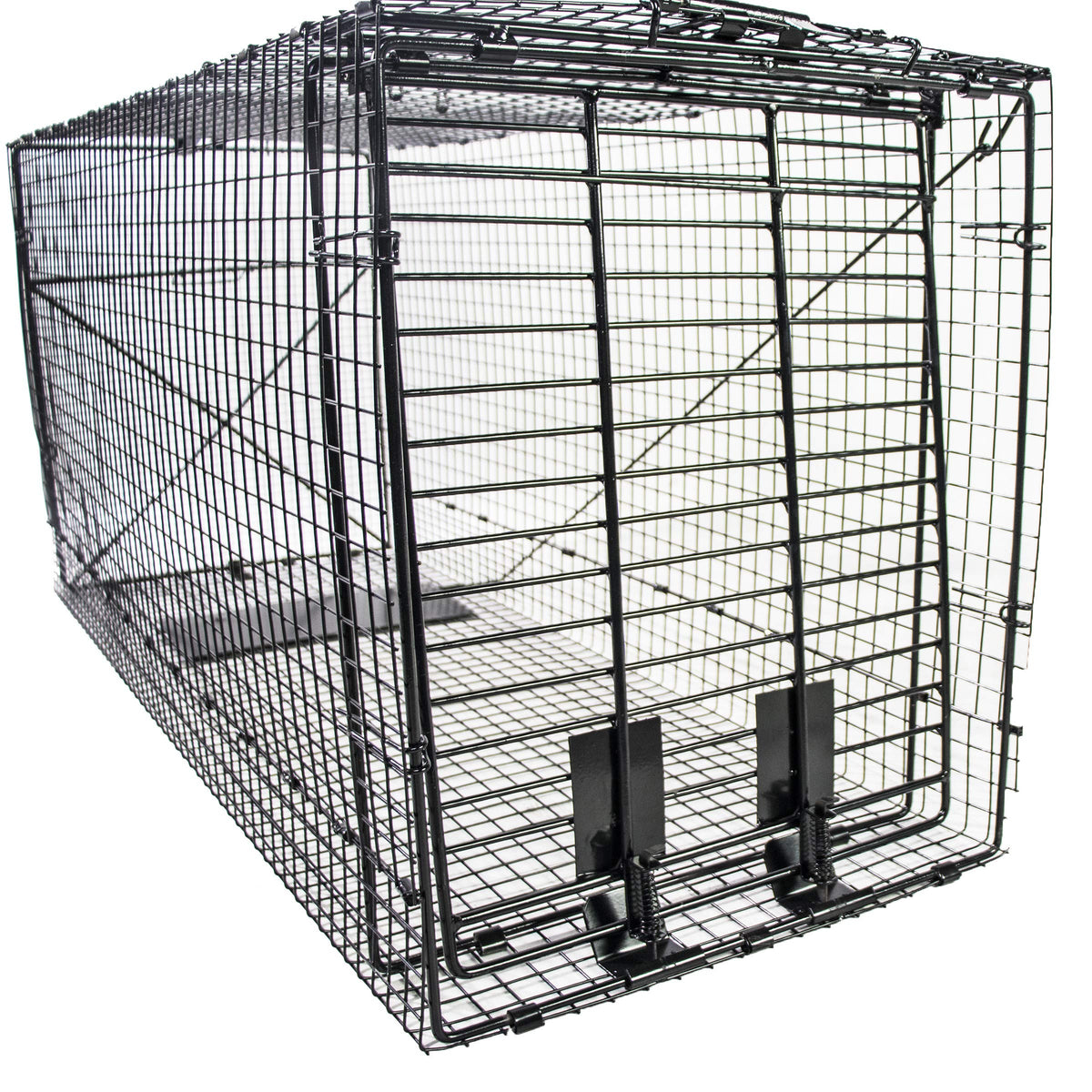 Humaneway folding 50-inch trap front view highlights durable galvanized frame for safe capture.