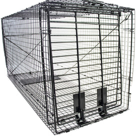 Humaneway folding 50-inch trap front view highlights durable galvanized frame for safe capture.