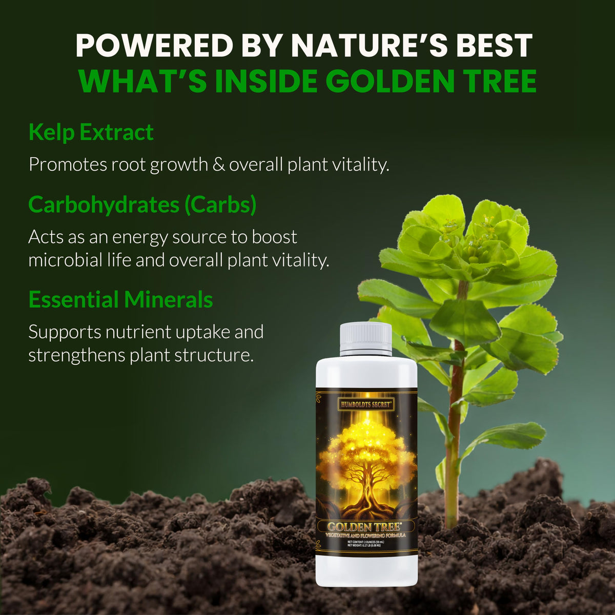 Humboldts Secret Golden Tree dosing dropper for precise feeding