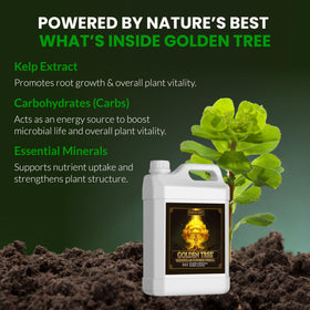 Humboldts Secret Golden Tree feeds indoor plants for stronger growth.