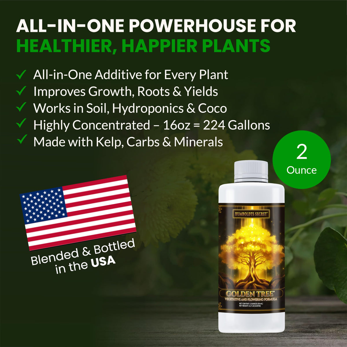 Humboldts Secret Golden Tree soil application around tomato base enhances nutrient availability