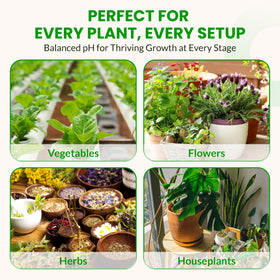 Humboldts Secret bottle in coco coir setup balancing pH for growth.