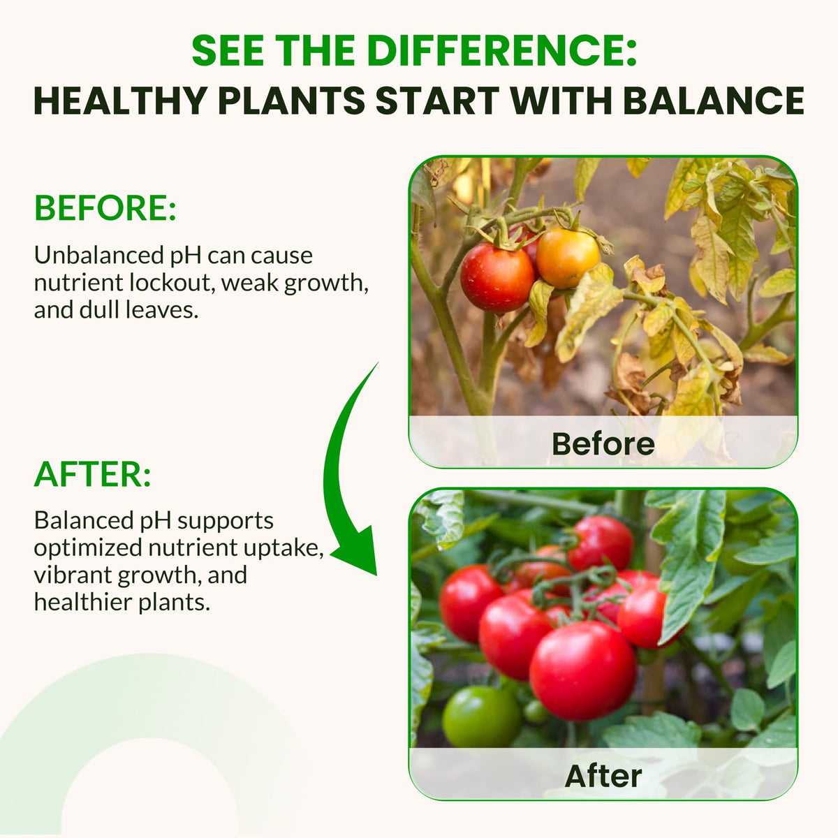 Humboldts Secret kit used in soil garden to maintain stable pH levels.