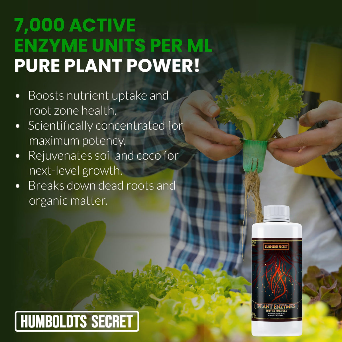 Humboldts Secret Plant Enzymes used in hydroponics for root digestion.