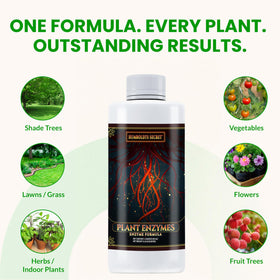 Enzyme-rich Humboldts Secret Plant Enzymes improve nutrient uptake.
