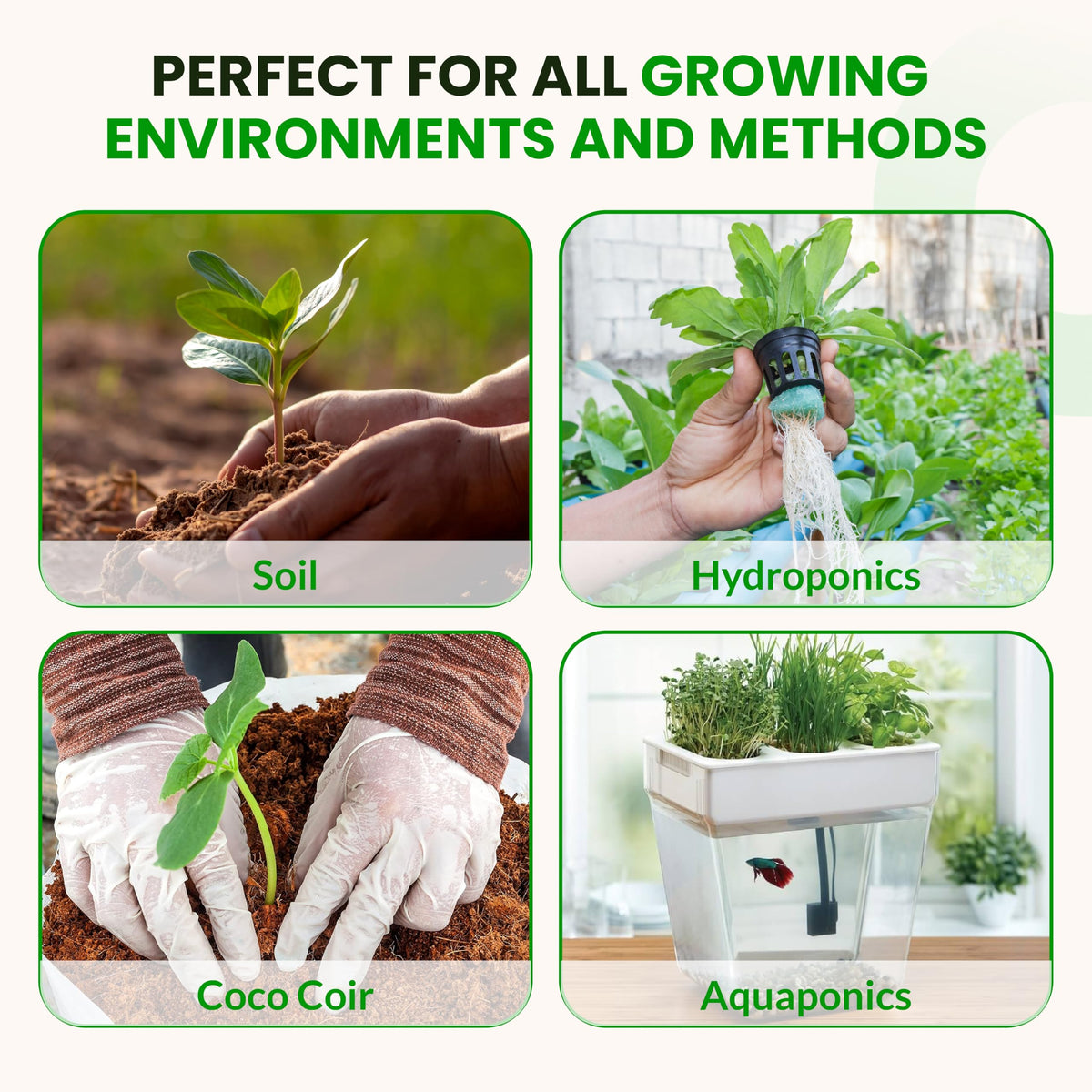Soil rejuvenation with Humboldts Secret Plant Enzymes breaking down old roots.