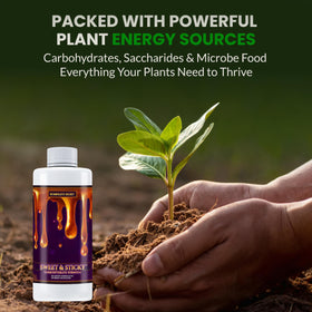 Humboldts Secret Sweet & Sticky root zone health visual demonstrates stronger roots in soil.