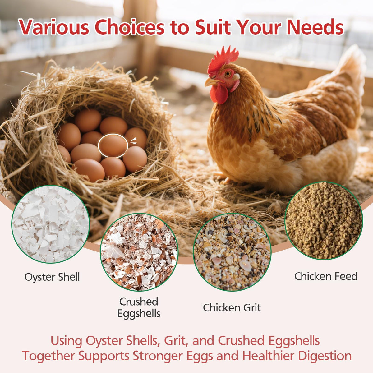 HUMUMU weather-resistant chicken coop accessory designed for year-round use