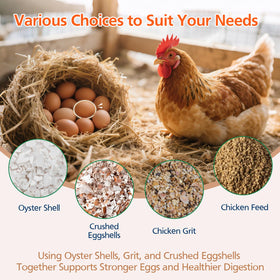 HUMVMV calcium delivery supports eggshell quality in a durable feeder.