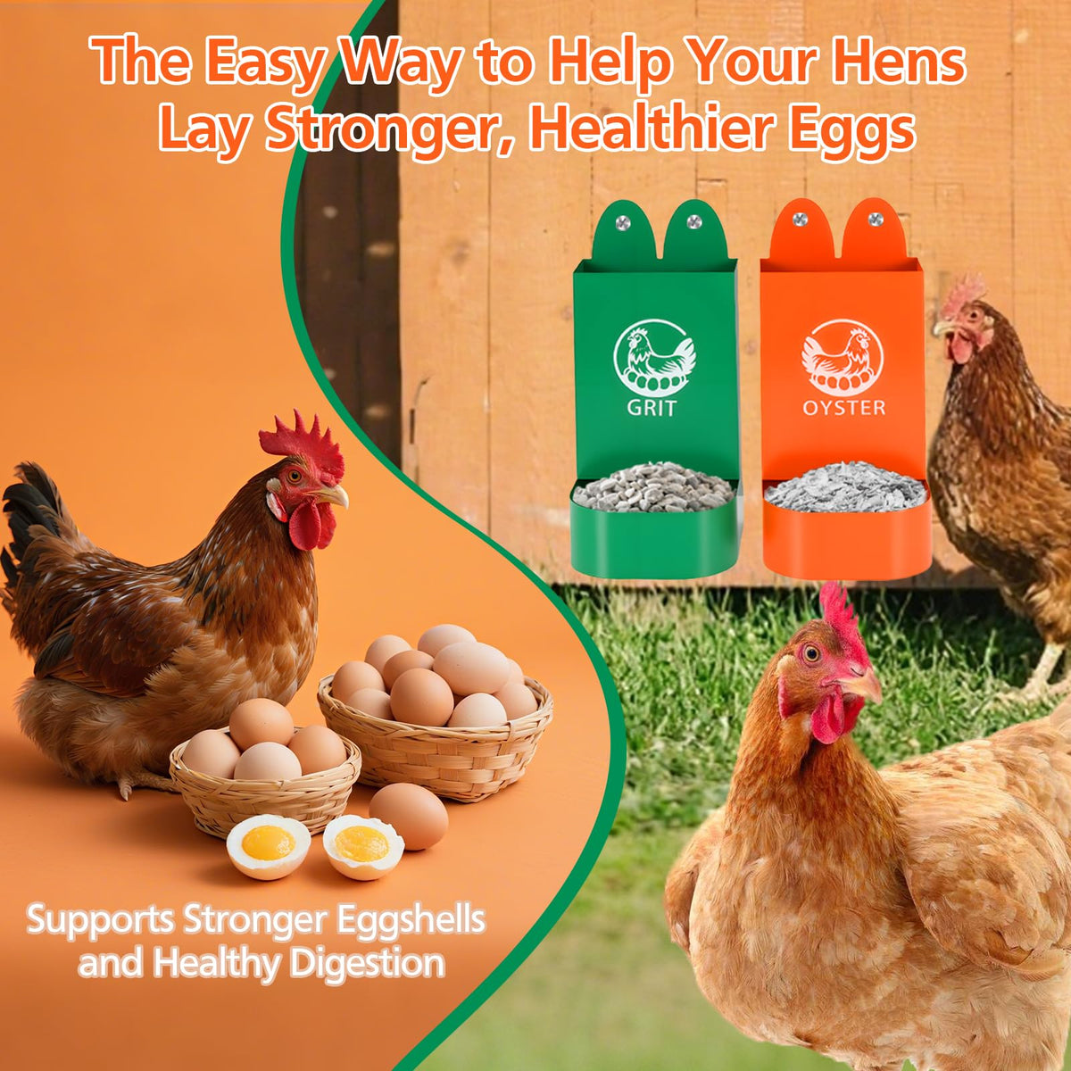 HUMVMV rounded-edges oyster feeder keeping hens safe while feeding.