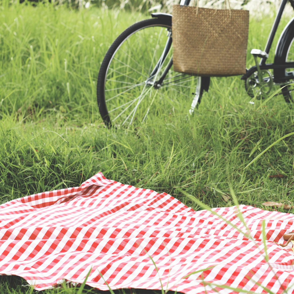 HunnmingRe red-white-plaid blanket on a beach setting
