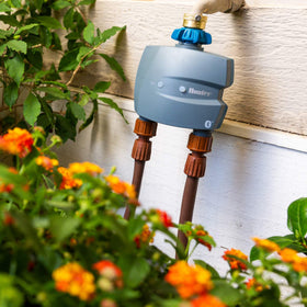 Hunter BTT manual watering button for quick on-demand irrigation.