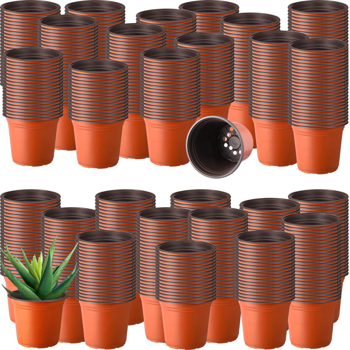 Hushee 4-inch plastic pot with drainage holes for seed starting.