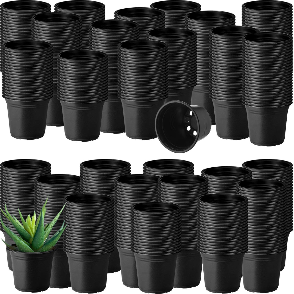 Hushee 1500-pack plastic pots, 4-inch front view for seed starting and transplant readiness