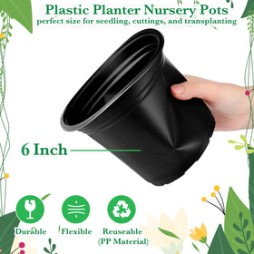 Hushee 4-inch pots ideal for succulent propagation and small garden transplants