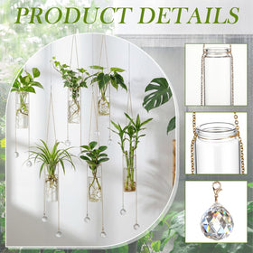 Hushee compact propagation tubes with 3 cm mouth fit pothos and herbs
