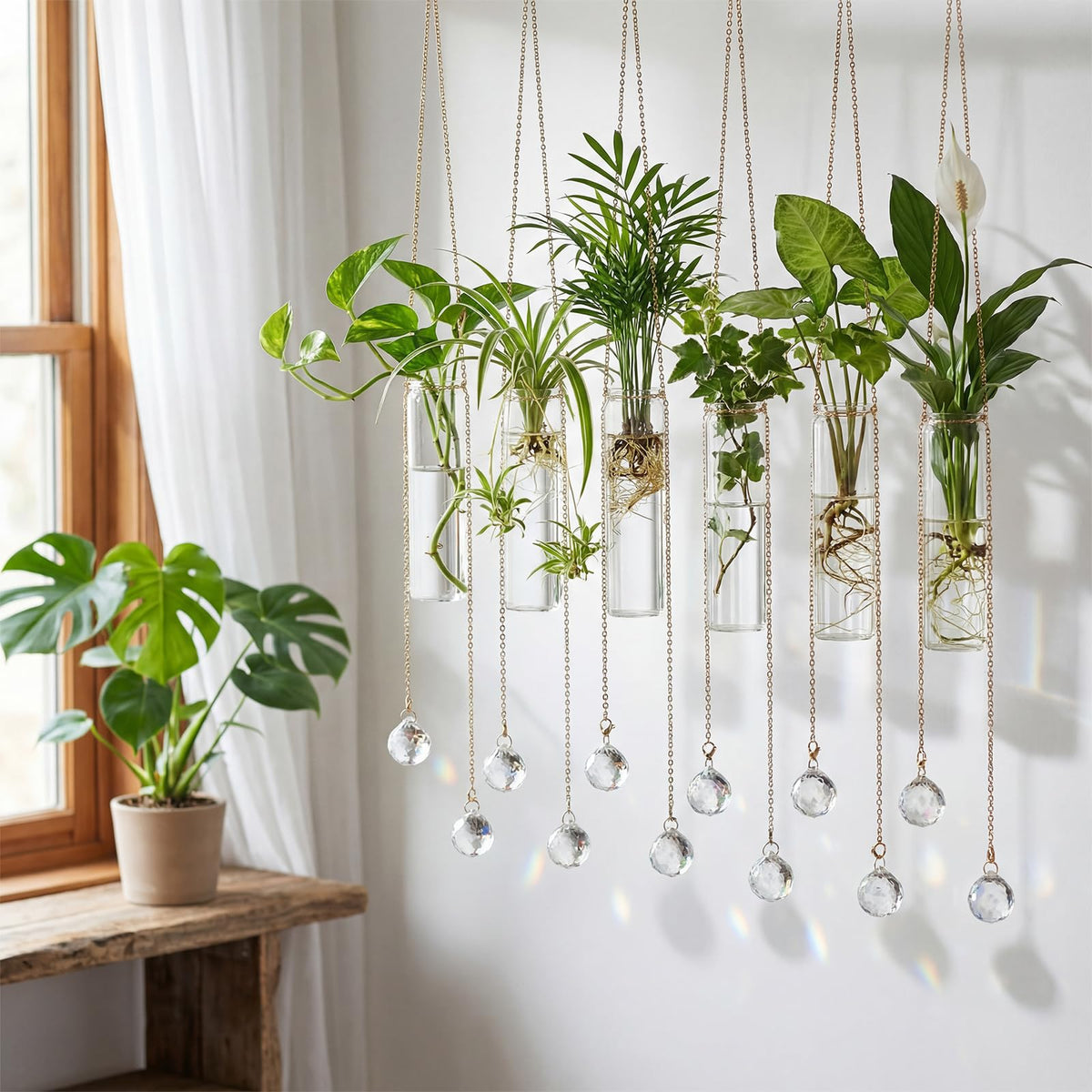 Hushee glass hydroponic tubes provide clear observation of root growth
