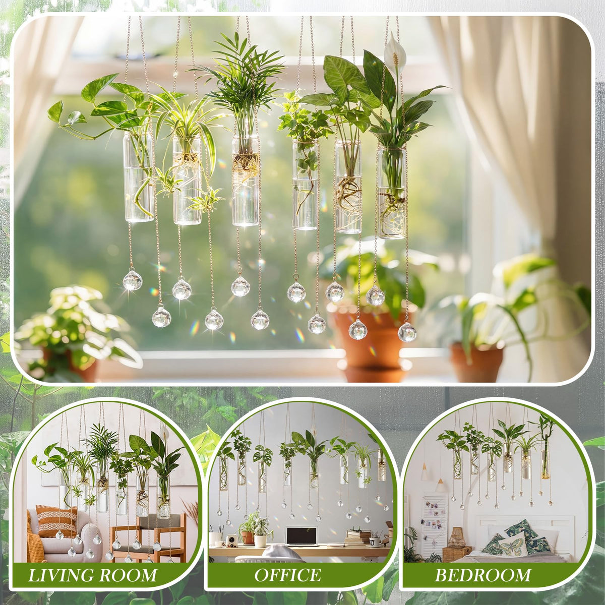Hushee transparent hanging terrarium keeps roots visible during growth