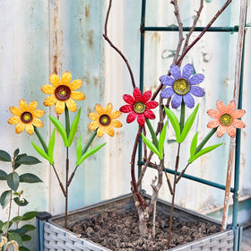 HUTHDAK large colorful flowers for lawn borders and beds.
