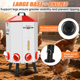 HVDI feeder with 8 feeding ports reduces waste and keeps feed accessible for the flock