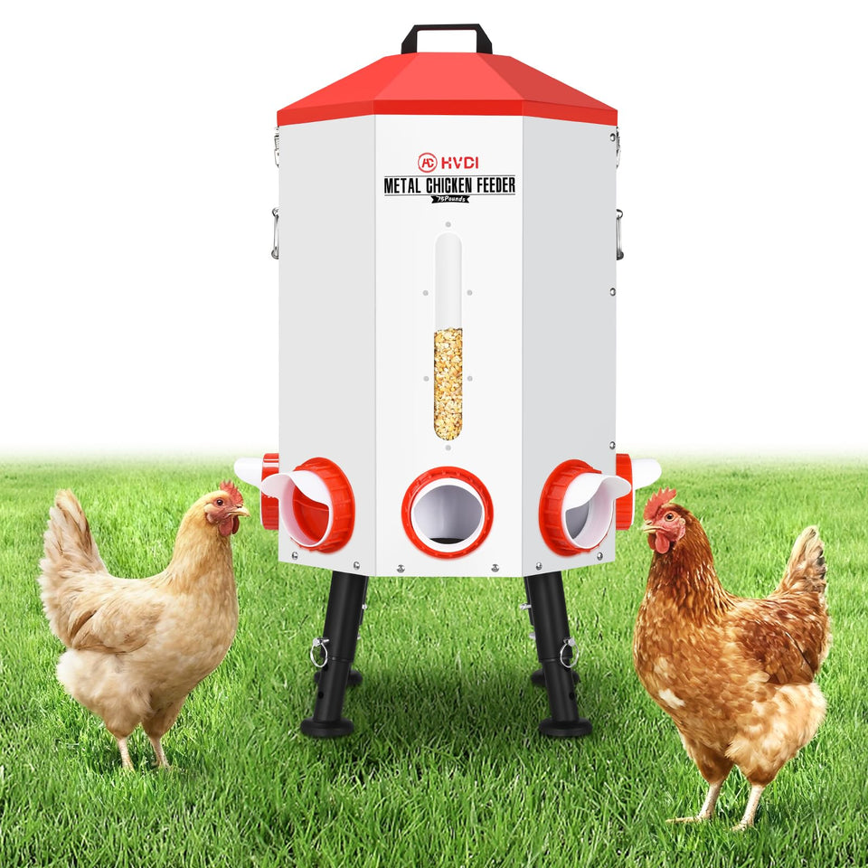 HVDI 70-80lb automatic chicken feeder with full container view for easy monitoring and timely refills