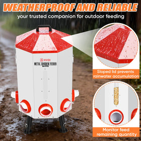 HVDI feeder metal conical lid prevents roosting and helps keep the setup clean