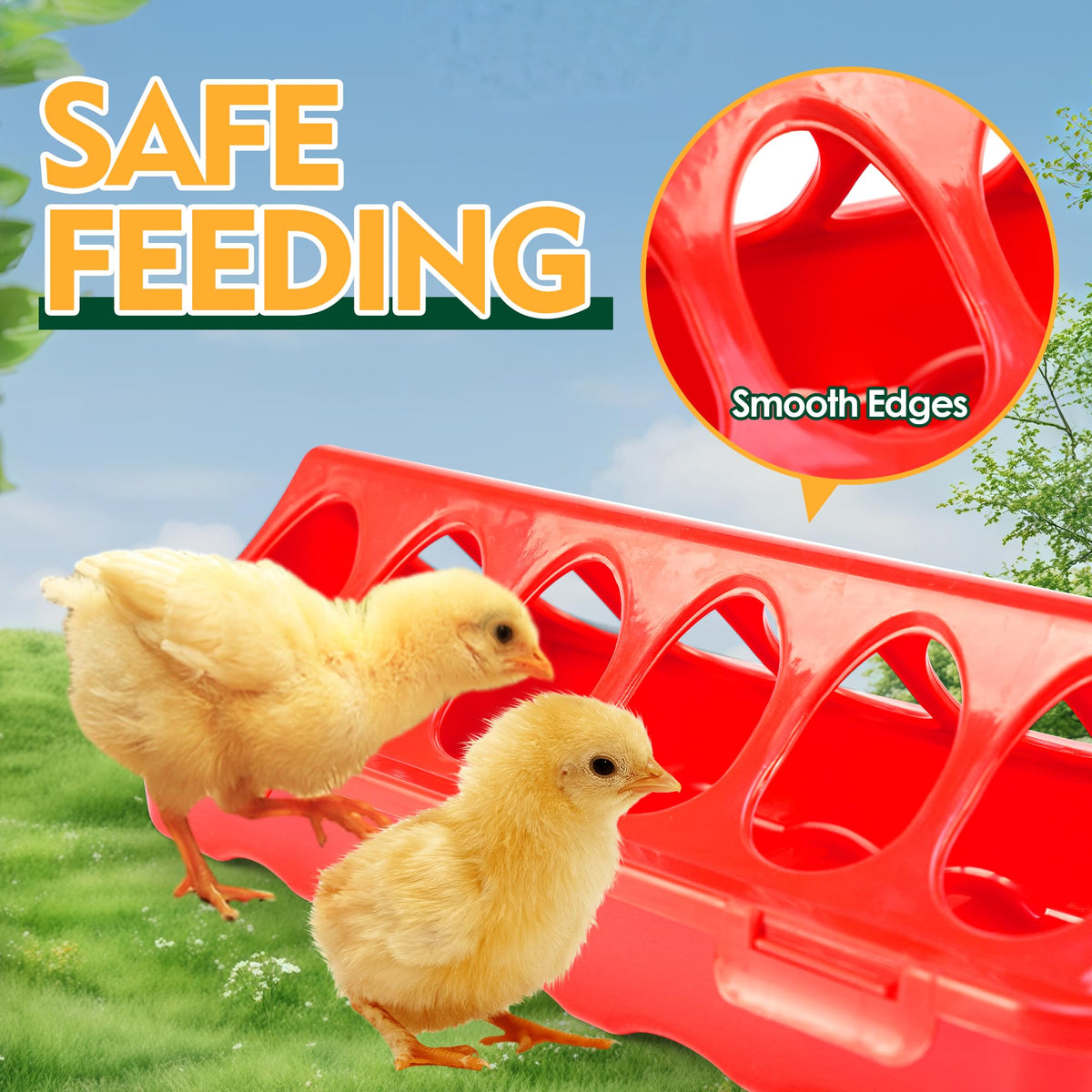 HXIAOBANN 3x12-hole feeders promote orderly feeding and minimize waste in the brooder