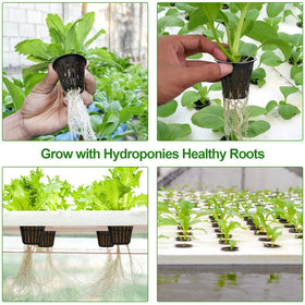 HXSEMAYIG 2-inch net pot designed for indoor outdoor net cups in grow spaces.