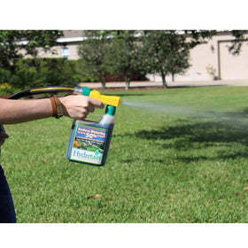 Lush green lawn benefiting from Hydretain moisture management.