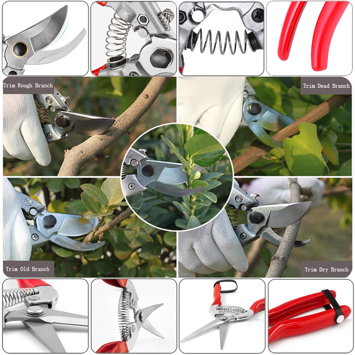 HyleJhJy red garden tools set ready for pruning tasks