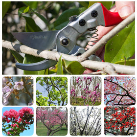 HyleJhJy straight tip gardening shears for precise trimming and easy reach