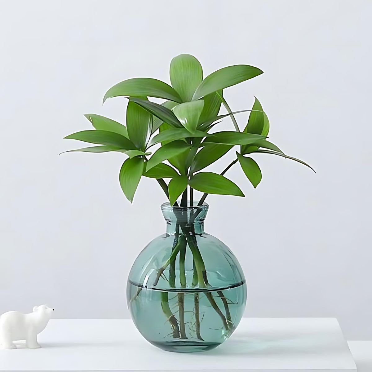 HymoConn desk accessory suitable for cuttings and small plants