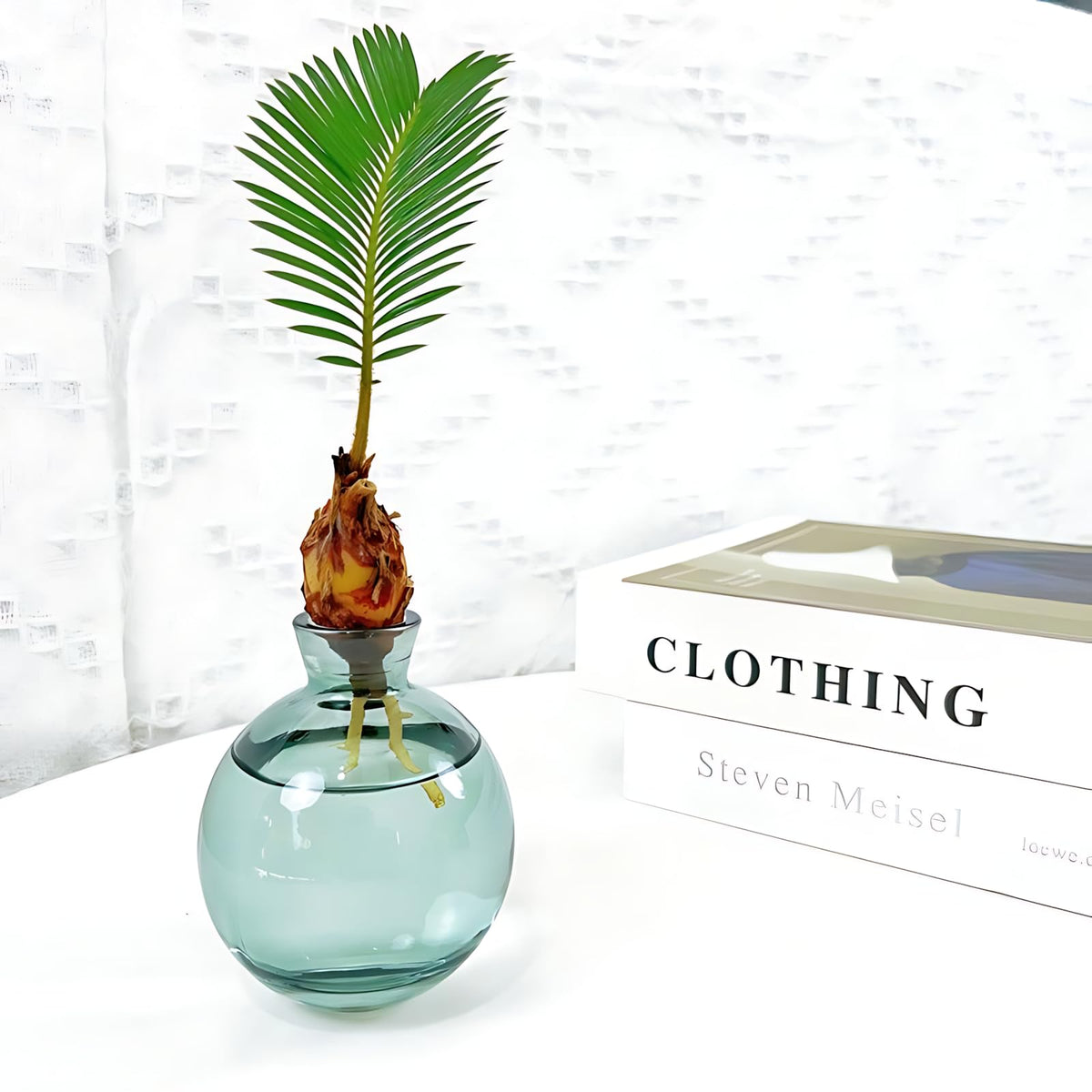 HymoConn green glass vase on display as a desk piece