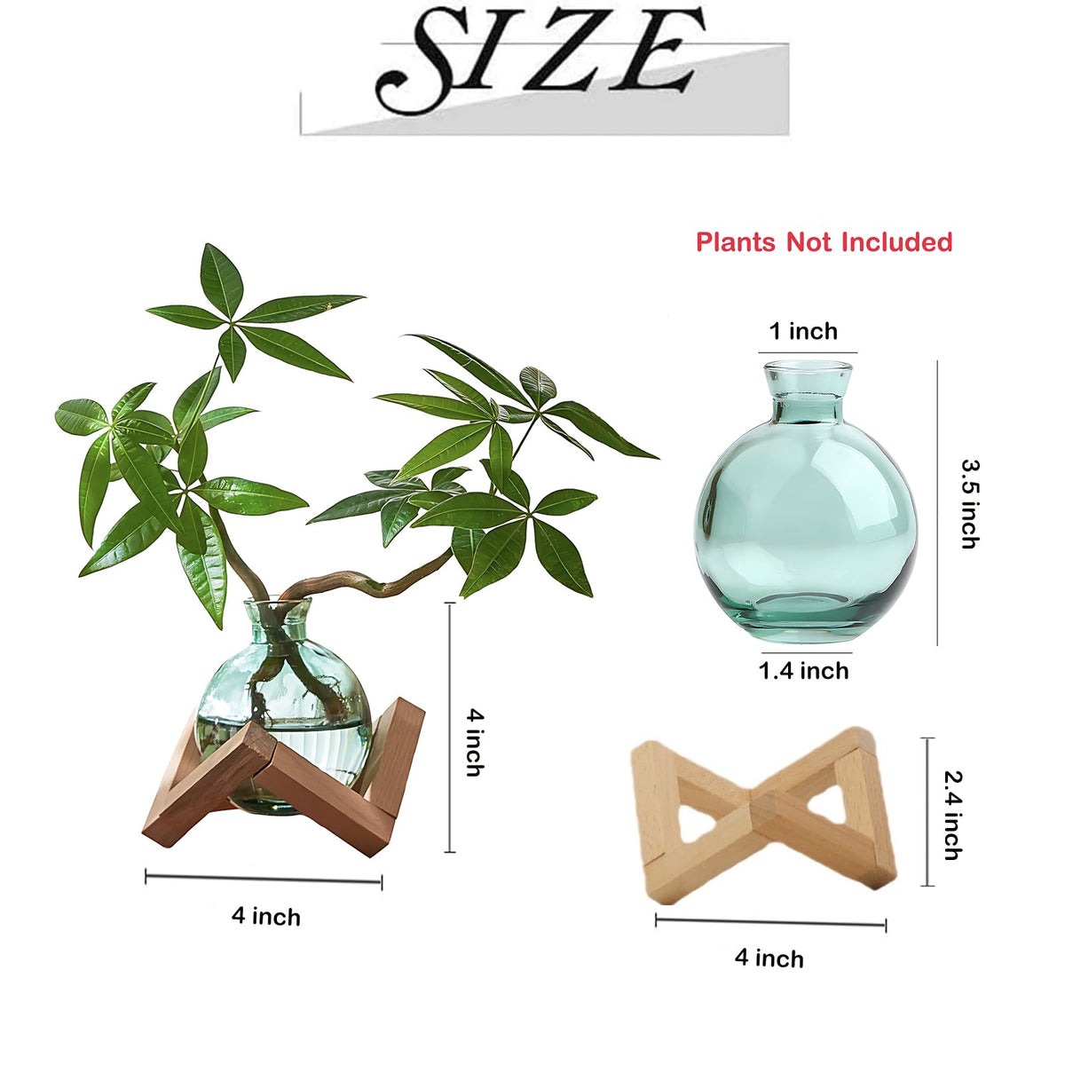 HymoConn office desk terrarium style decor adds natural charm