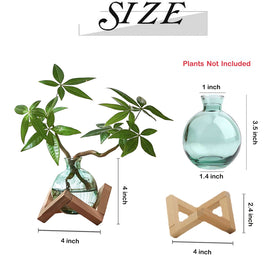 HymoConn office desk terrarium style decor adds natural charm