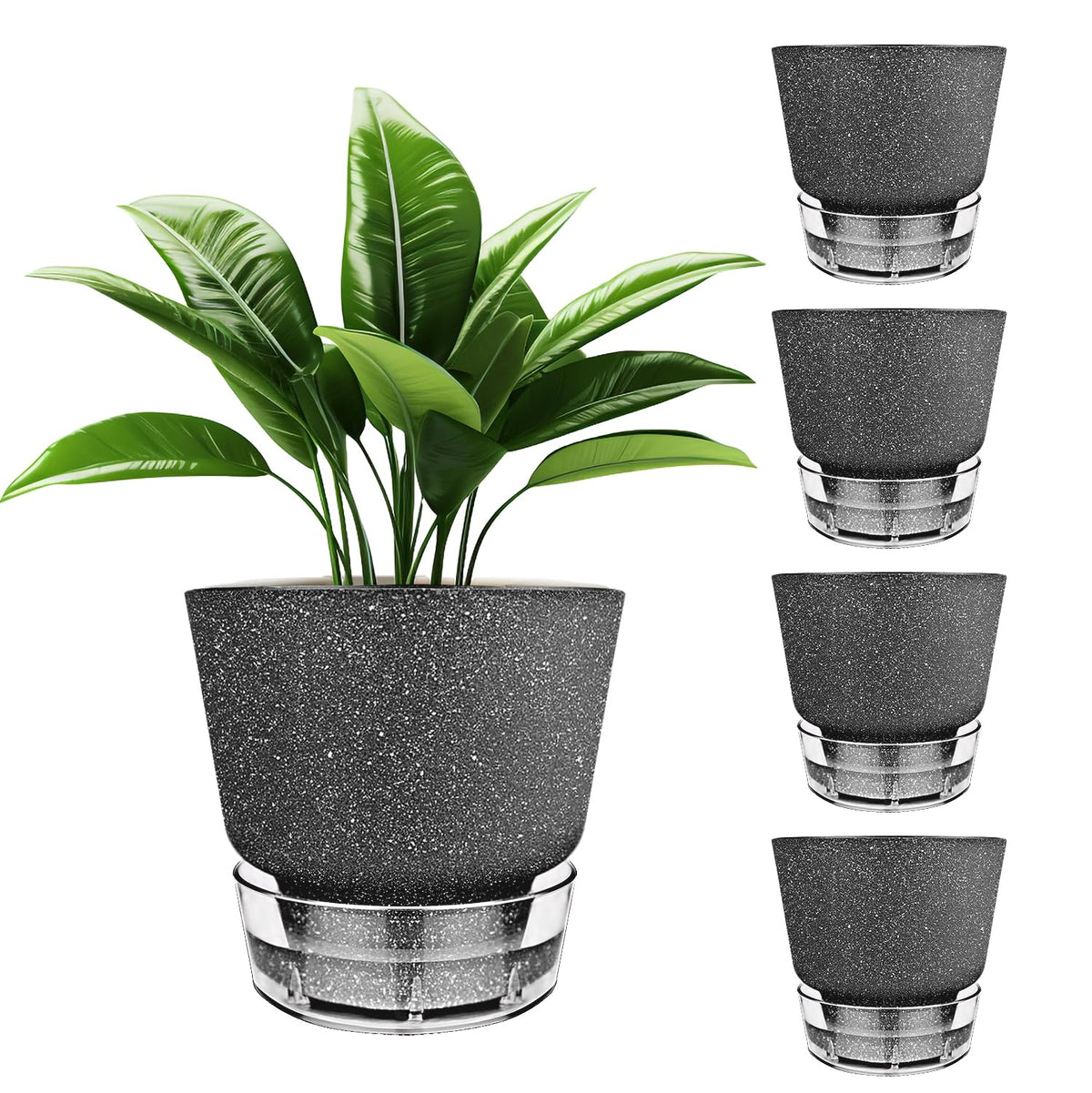 HYNZ 2024 five-pack self-watering planters in frosted black for indoor greenery
