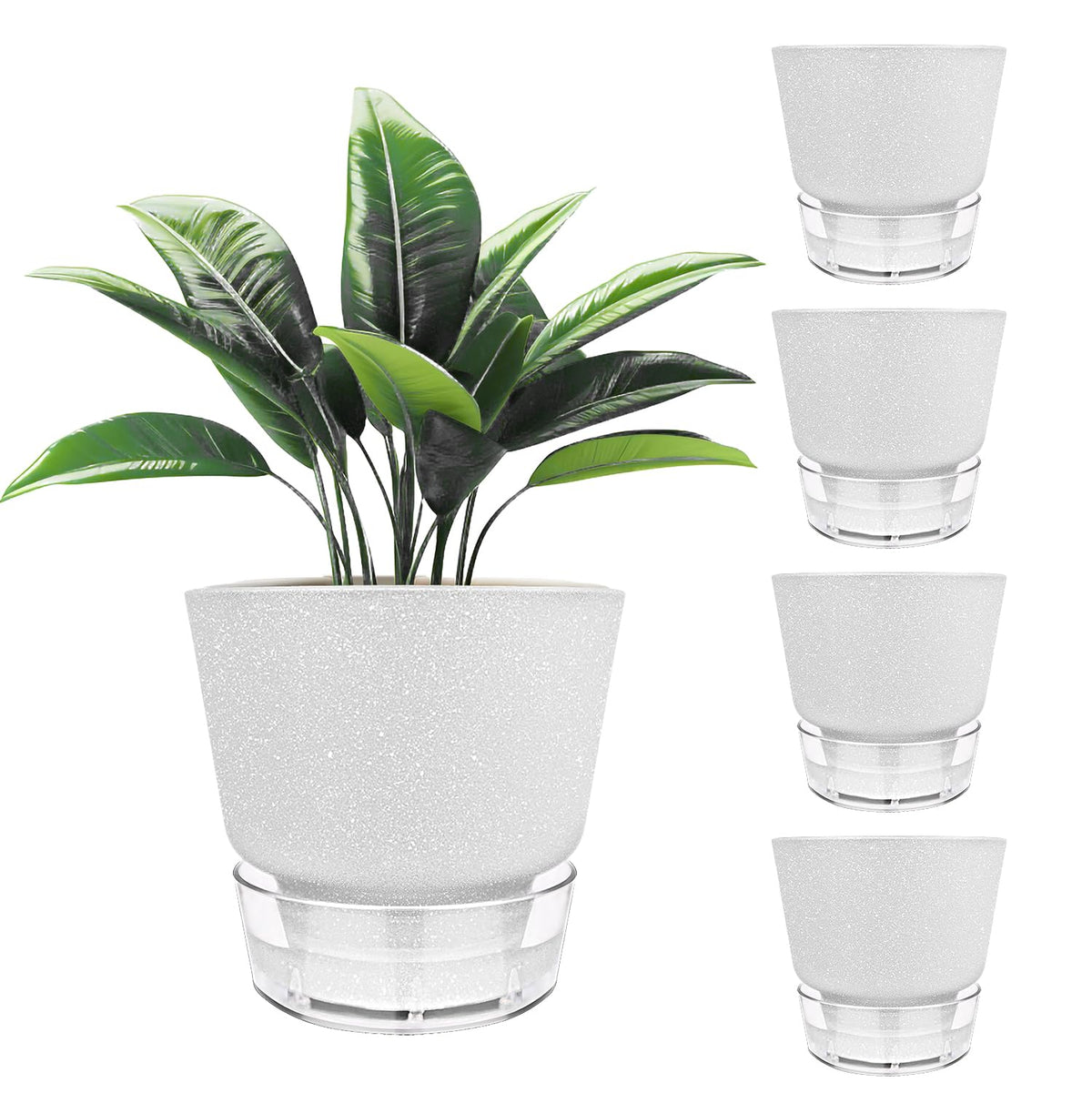 HYNZ 5-pack 6-inch self-watering planters in frosted white ideal for stylish indoor displays.
