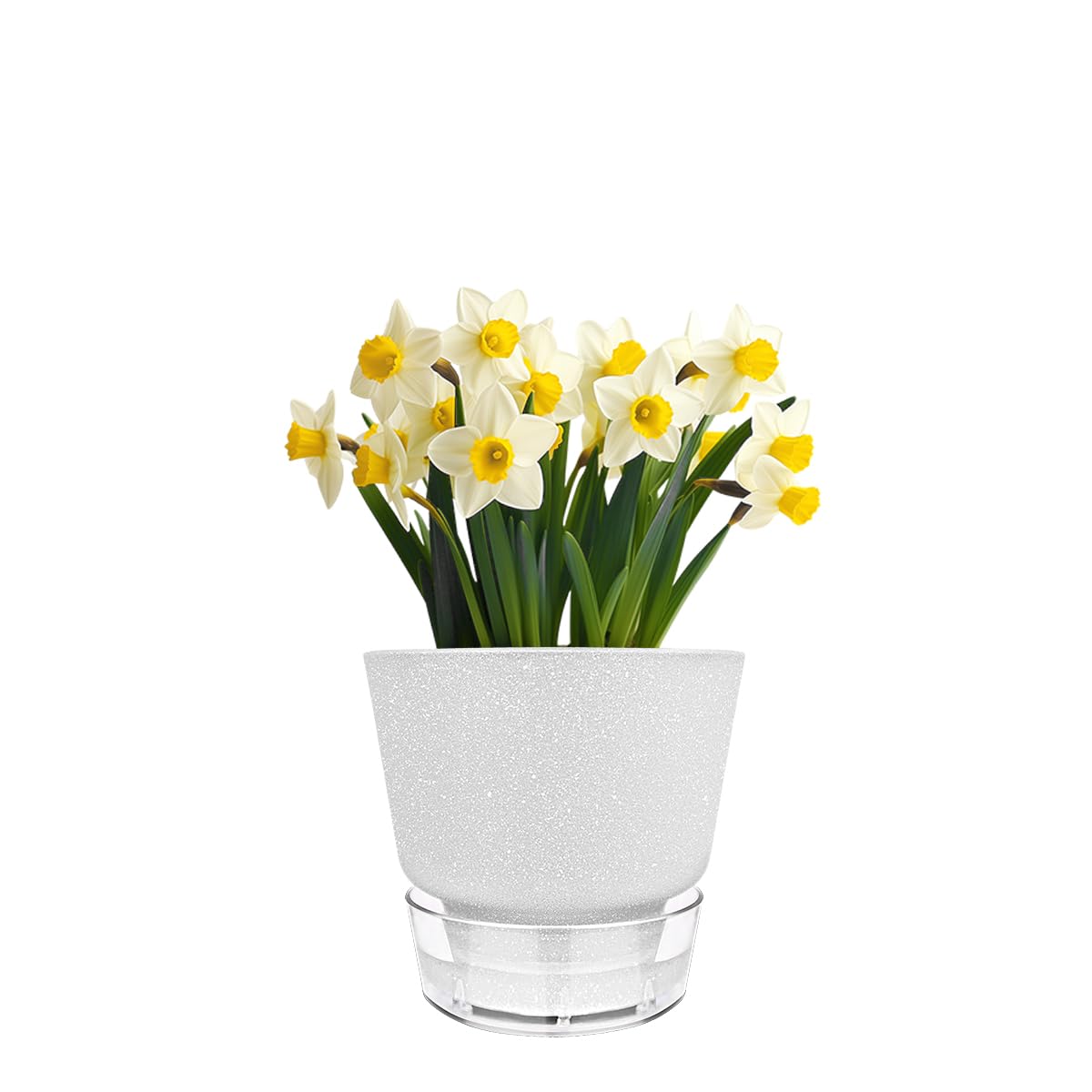 HYNZ durable planters support healthy soil conditions for thriving plants.
