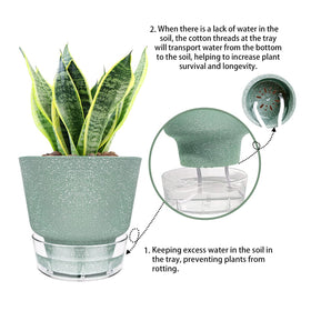 HYNZ gift-ready packaging for plant lovers